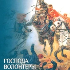 Господа волонтеры: роман