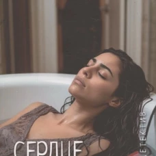 Леди-детектив. Сердце красавицы (16+)
