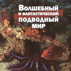 Волшебный и фантастический подводный мир