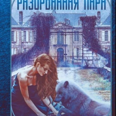 Разорванная пара. Дюжева М.