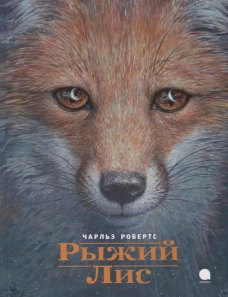 Рыжий лис