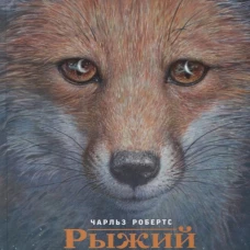 Рыжий лис