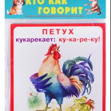 Кто как говорит (18 карточек с европодвесом)