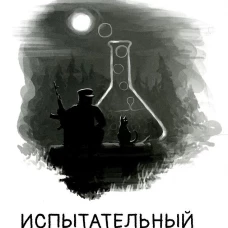 Испытательный кот и другие истории: сборник рассказов. Кабанов С.О.