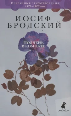 Полдень в комнате