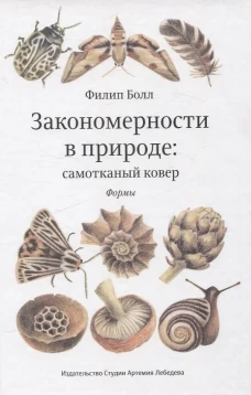 Закономерности в природе: самотканный ковер