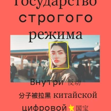 Государство строгого режима