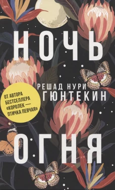 Ночь огня (пер.). Гюнтекин Р.Н.