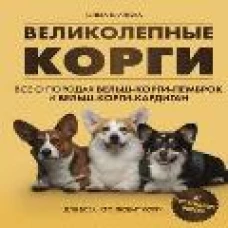 Великолепные корги. Все о породах вельш-корги-пемброк и вельш-корги-кардиган