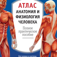 Атлас. Анатомия и физиология человека полное практическое пособие. 2-е издание, дополненное