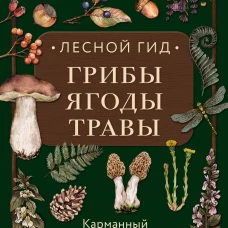 Лесной гид: грибы, ягоды, травы. Карманный атлас-определитель