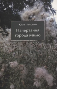 Начертания города Мимо