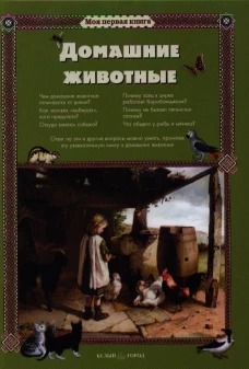  Домашние животные 