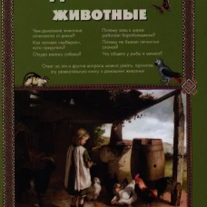  Домашние животные 