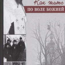 Как жить по воле Божией. Валентин (Мордасов), протоиерей
