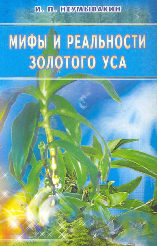 Золотой ус: мифы и реальность