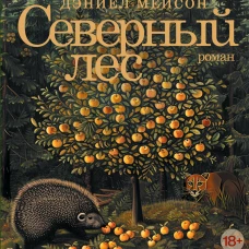 Северный лес 