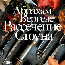 Рассечение Стоуна