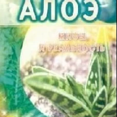 Алоэ. Мифы и реальность