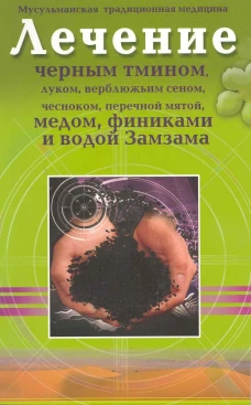 Путешествие в Святую Землю московского священника Иоанна Лукьянова, 1710-1711