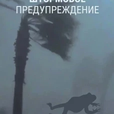 Штормовое предупреждение. Чжу Шаньпо