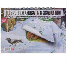 Добро пожаловать в экологию. Демонстрационные картины и динамические модели для занятий с детьми 4-5 лет (средняя группа). ФГОС.. Воронкевич О.А.