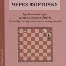 В шахматы через форточку