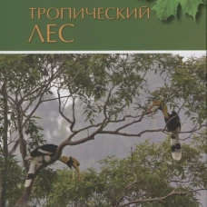 Тропический лес