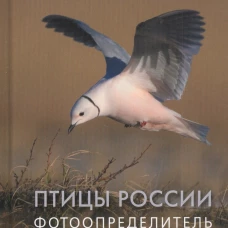 Птицы России. Фотоопределитель
