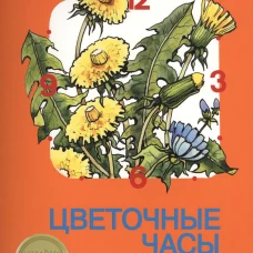 Цветочные часы. Альбом для раскрашивания