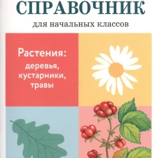Растения: деревья, кустарники, травы