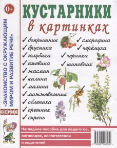 Кустарники в картинках. Наглядное пособие для педагогов, логопедов, воспитателей и родителей