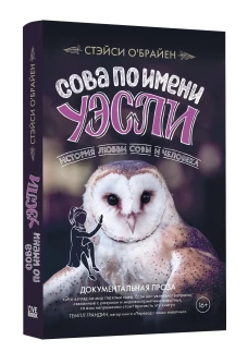 Сова по имени Уэсли.История любви совы и человека
