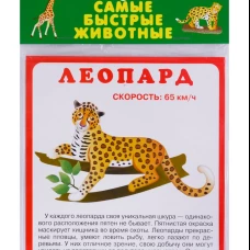 Самые быстрые животные