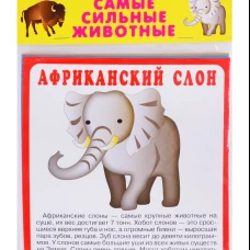 Самые сильные животные