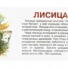 Мир животных