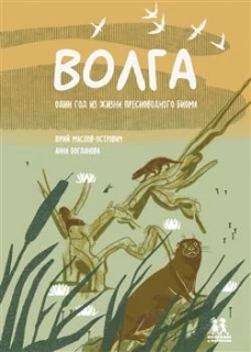 Волга: один год из жизни