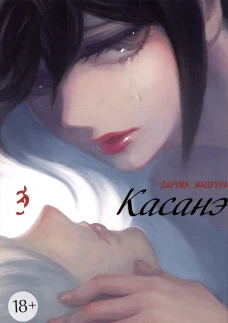 Касанэ. Т. 3: манга