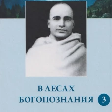 В лесах богопознания. Том 3