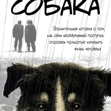 Собака. Пронзительная история о том, как один необдуманный поступок способен полностью изменить жизнь человека
