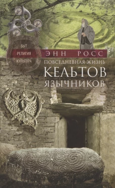 Повседневная жизнь кельтов&shy;язычников. Быт, религия, культура