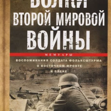 Волки Второй мировой войны. Воспоминания солдата фольксштурма о Восточном фронте и плене. 1945