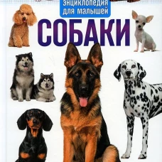 Собаки. Первая энциклопедия для малышей