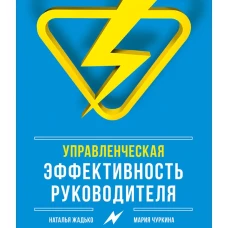 Управленческая эффективность руководителя