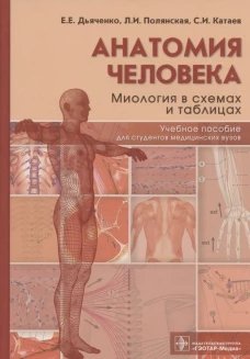 Анатомия человека: миология в схемах и таблицах: Учебное пособие. Дьяченко Е.Е., Полянская Л.И., Катаев С.И.