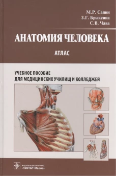Анатомия человека. Атлас: Учебное пособие для медицинских училищ и колледжей. Брыксина З.Г., Сапин М.Р., Клочкова С.В.