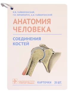 Анатомия человека. Соединения костей. Карточки: наглядное учебное пособие. Гайворонский А.И., Гайворонский И.В., Ничипорук Г.И.