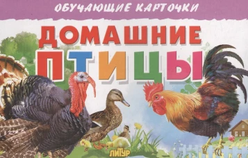 Карточки. Домашние птицы