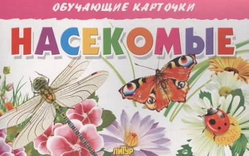 Карточки. Насекомые
