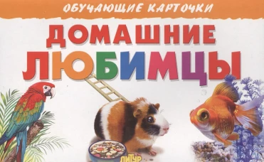 Карточки. Домашние любимцы